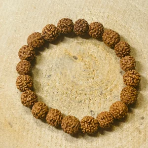 Lot de 5 Bracelets en perles naturelles en Graines de Rudraksha (36)