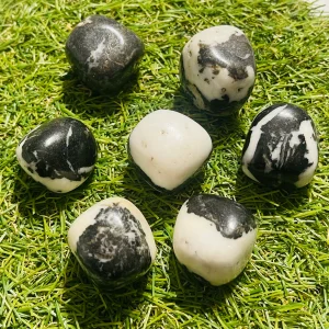 Lot de 5 pierres roulées naturelles en Jaspe Zèbre