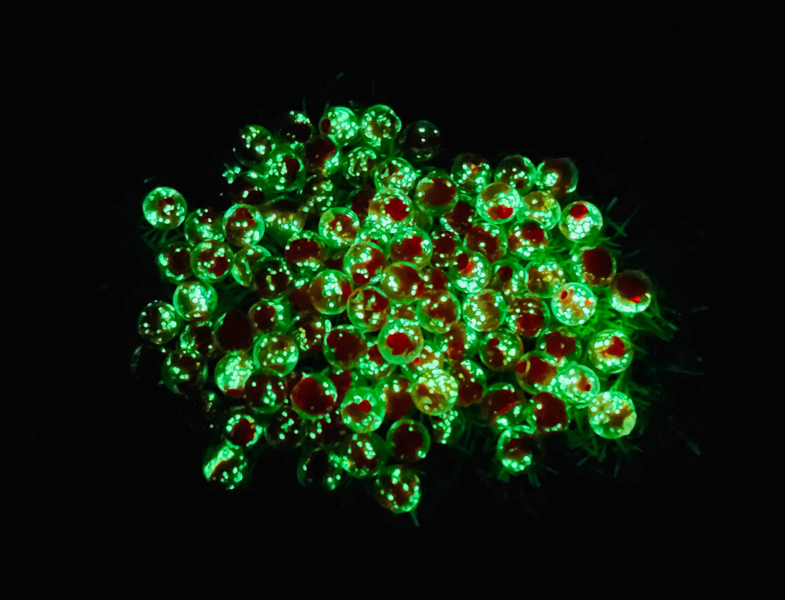 Lot de Perles Lumineuses en verre rouges 8 mm pour bracelet – Image 3