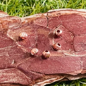 Lot de 20 intercalaires perle tourbillon rosé pour bracelet