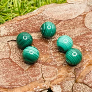Lot de 5 Perles naturelles en Malachite en 8 mm semi percées