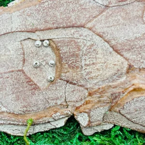 Lot de 20 Perles en Argent 925 de 2 mm pour bracelet