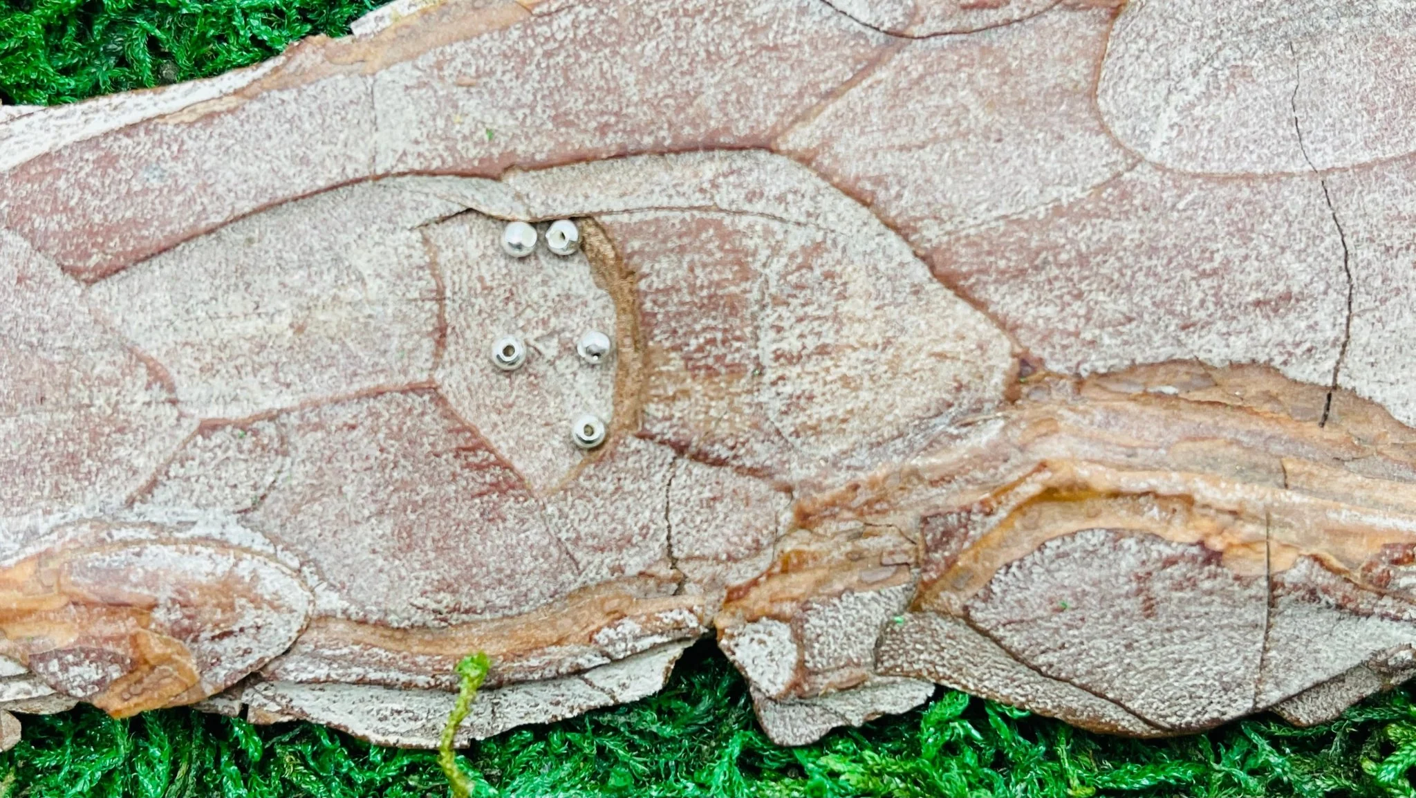 Lot de 20 Perles en Argent 925 de 2 mm pour bracelet