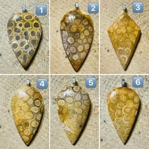 Pendentif cabochon en Corail Fossile au choix