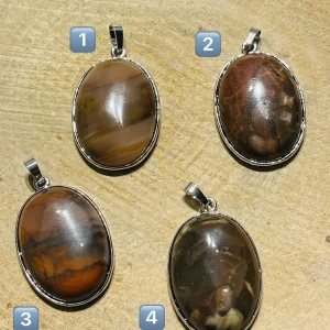 Pendentif en Bois fossilisé