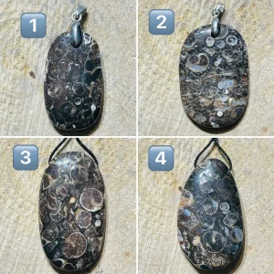 Pendentifs en Agate Fossil / Turitelle au choix