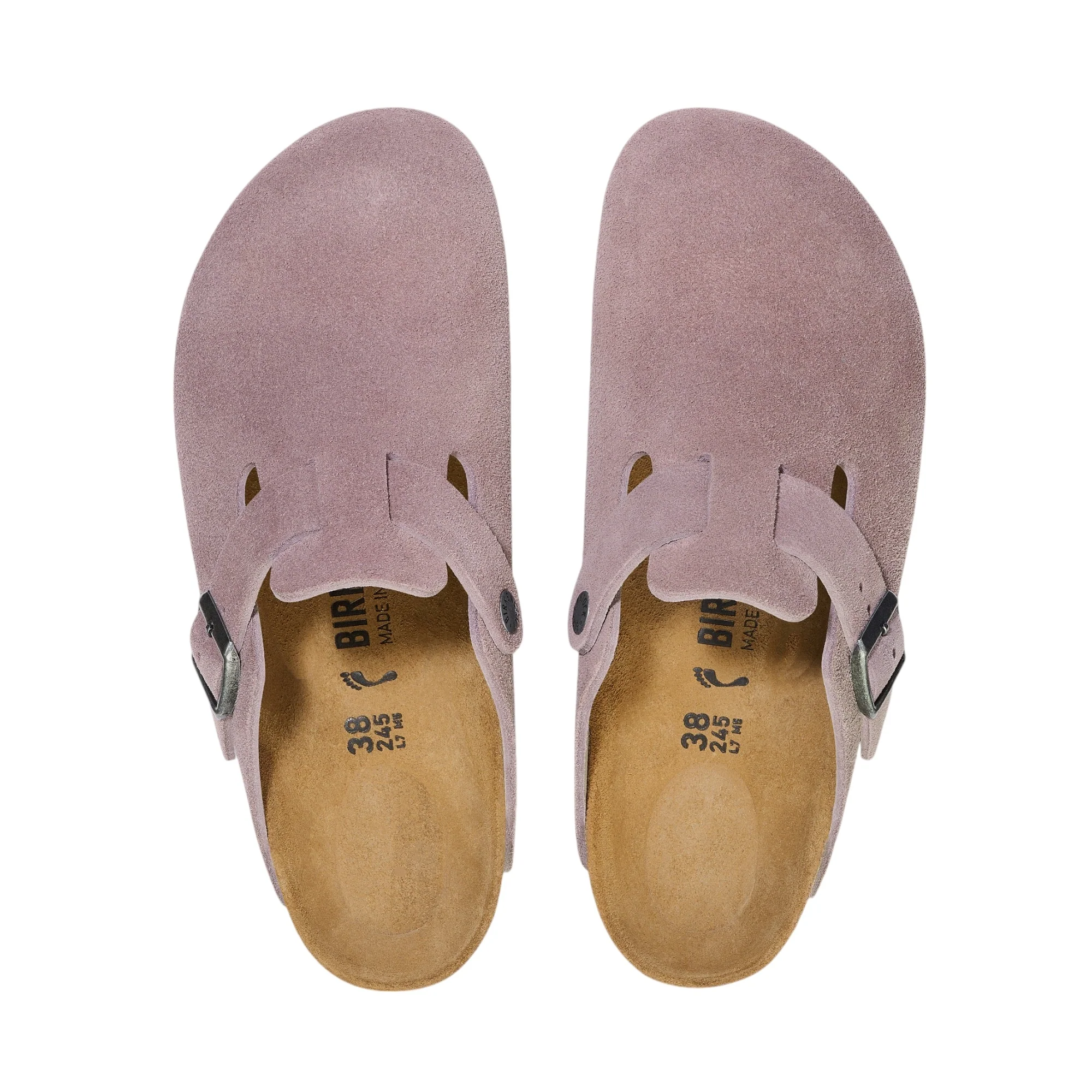 Boston leve – Image 4