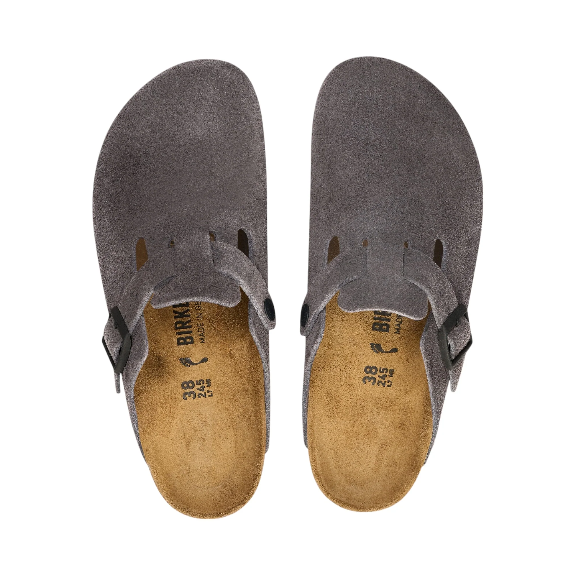 Boston leve woman – Image 4